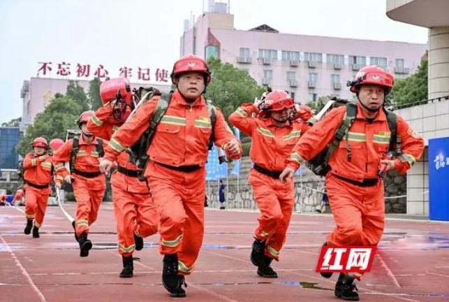 益陽林業|苦練技能顯風采，以賽促練創佳績