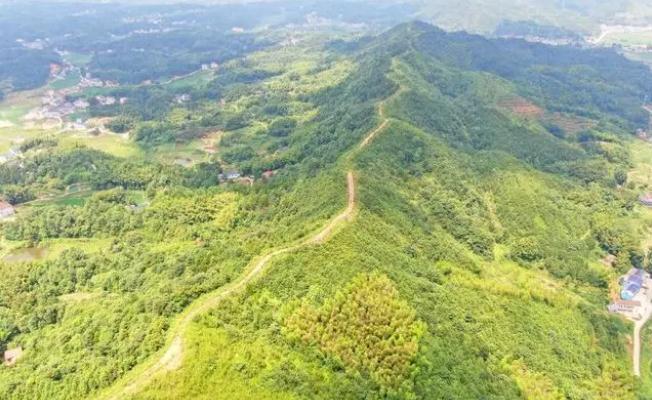 長(zhǎng)沙兩年內(nèi)將完成1150公里林火阻隔系統(tǒng)建設(shè)